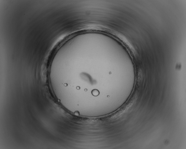 X0000103321067200809261131