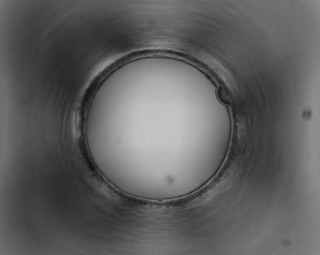 X0000103321069200809261131