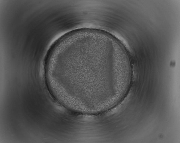 X0000103321070200809261131