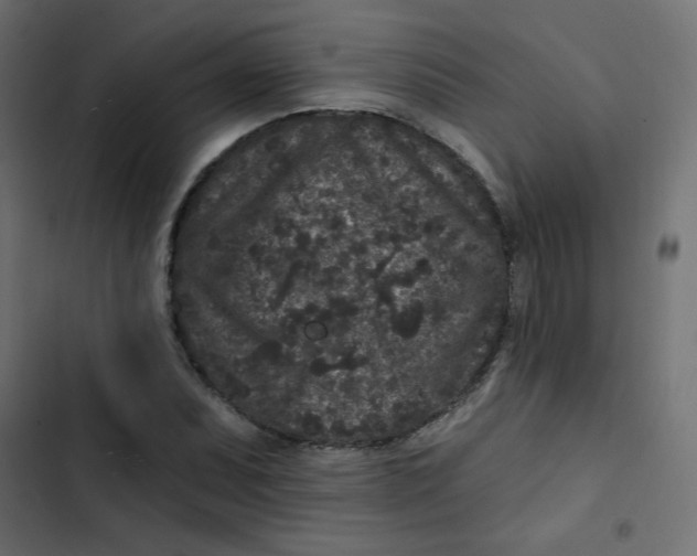 X0000103321071200809261131