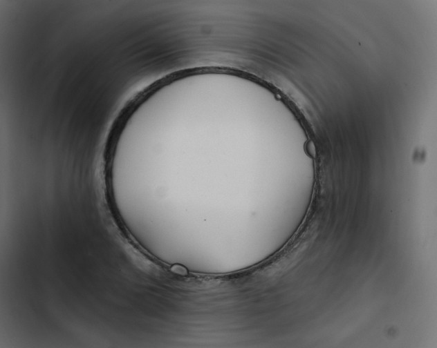 X0000103321072200809261131