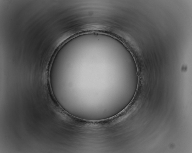 X0000103321073200809261131