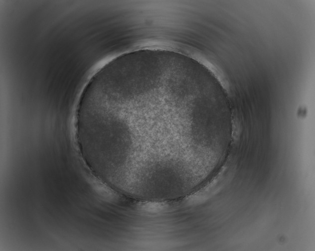 X0000103321074200809261131