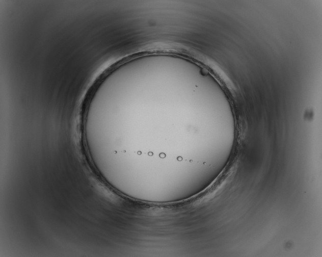 X0000103321075200809261131