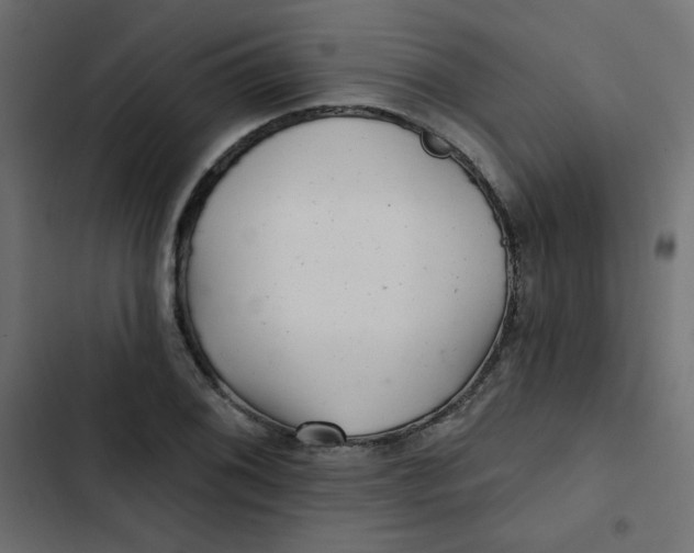 X0000103321076200809261131