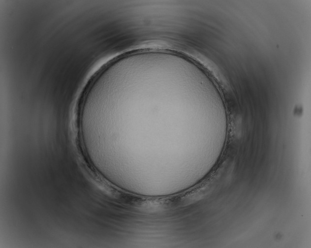 X0000103321078200809261131