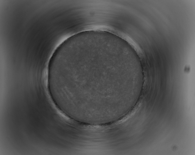 X0000103321079200809261131