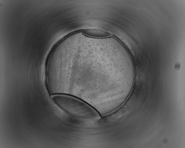 X0000103321080200809261130