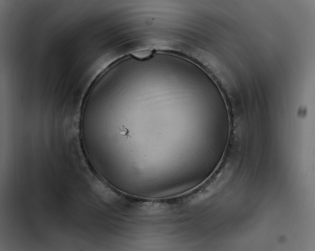 X0000103321081200809261130