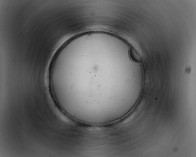 X0000103321082200809261130