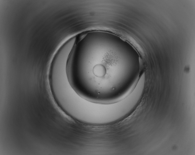 X0000103321084200809261130