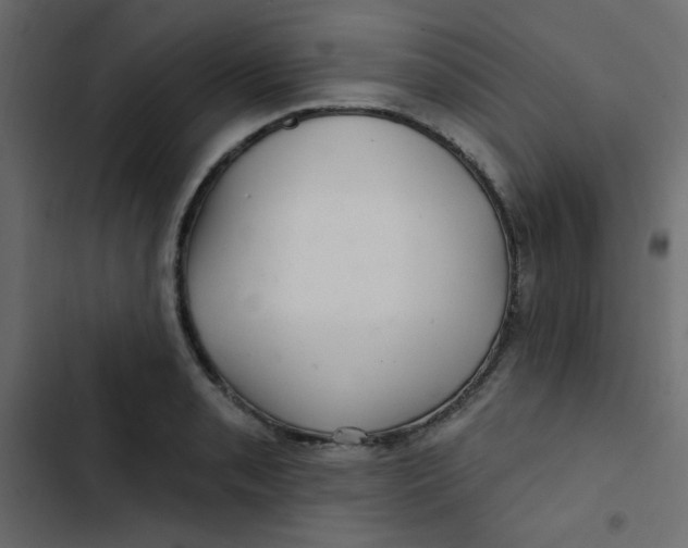 X0000103321085200809261130