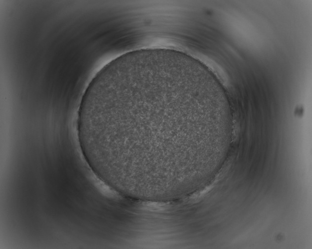 X0000103321086200809261130