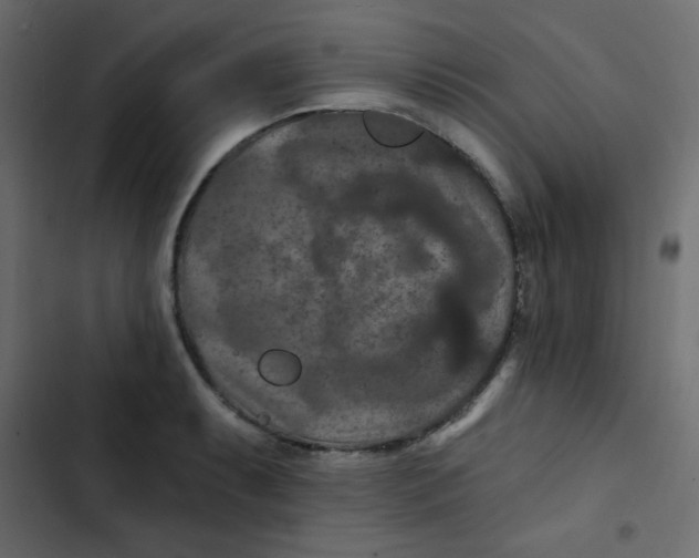 X0000103321087200809261130