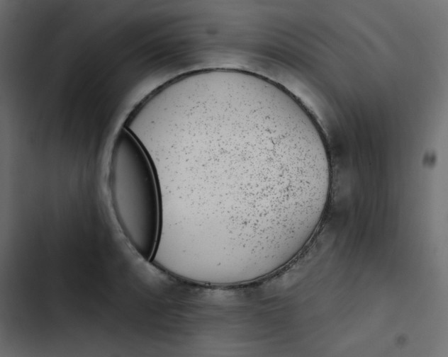 X0000103321088200809261130