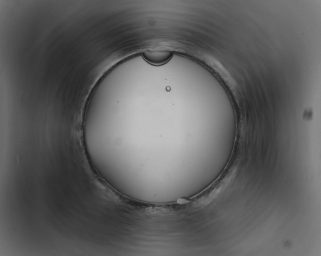 X0000103321089200809261130