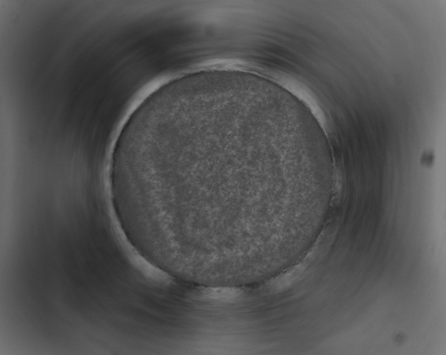 X0000103321090200809261130