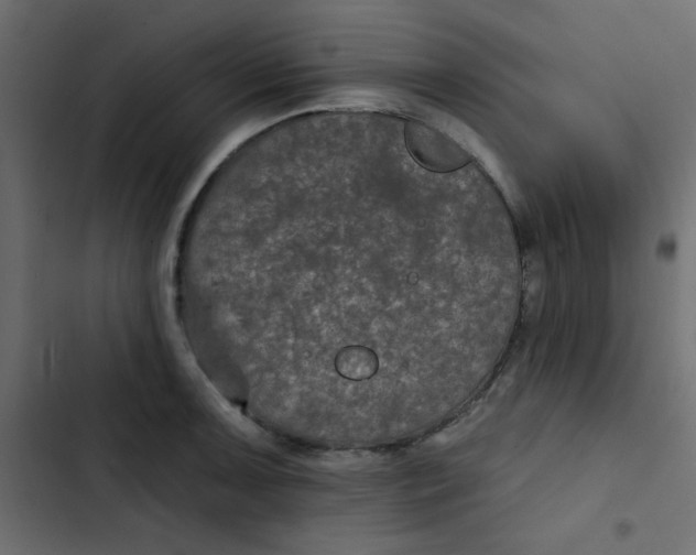 X0000103321091200809261130