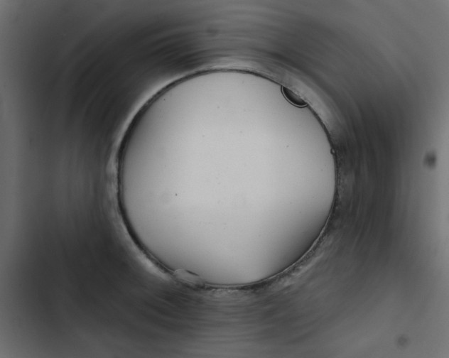 X0000103321092200809261130