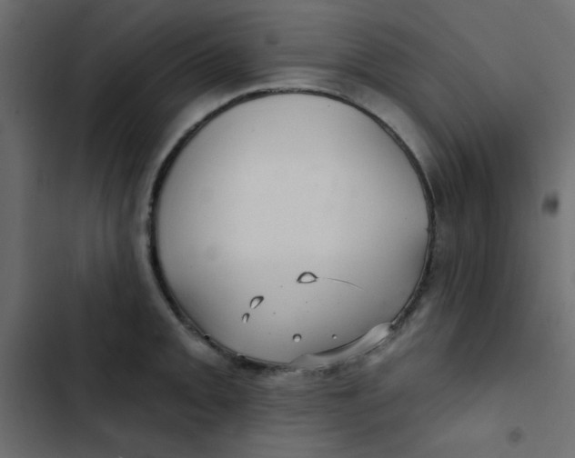 X0000103321093200809261130