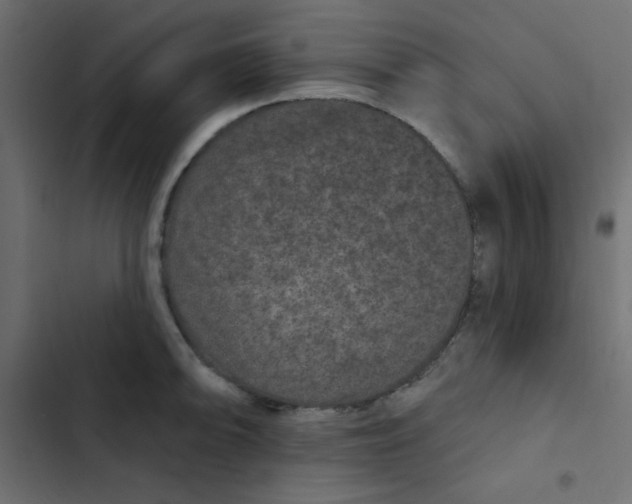 X0000103321094200809261130