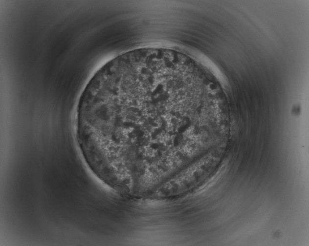 X0000103321095200809261130