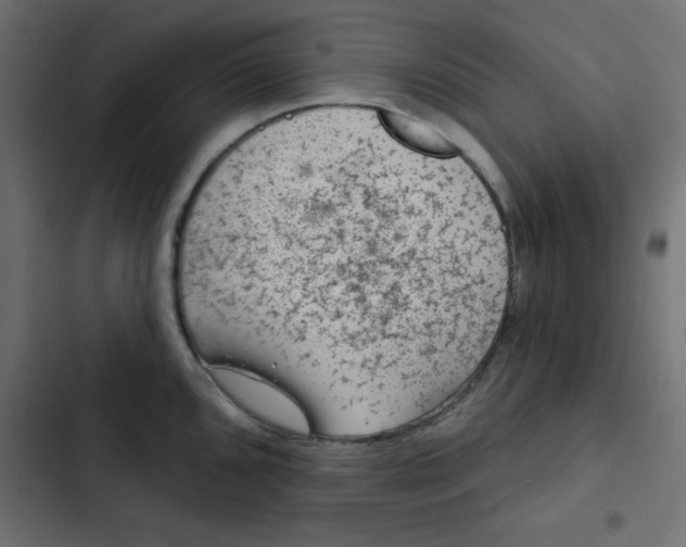 X0000103321096200809261130