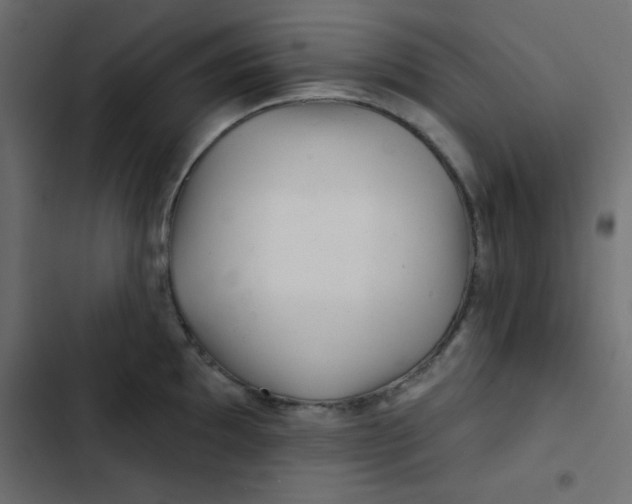 X0000103321097200809261130