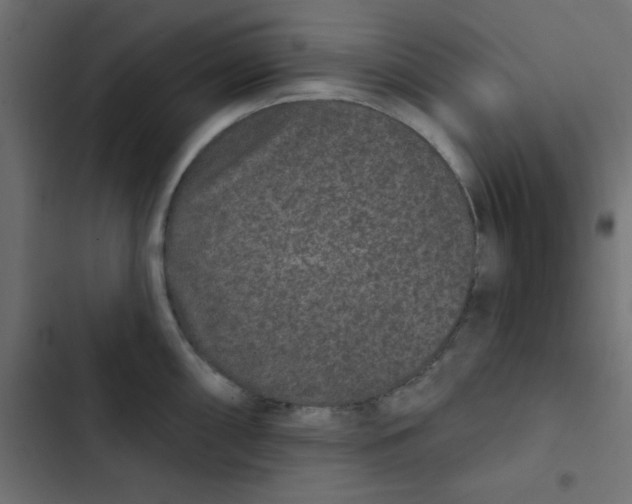 X0000103321098200809261130