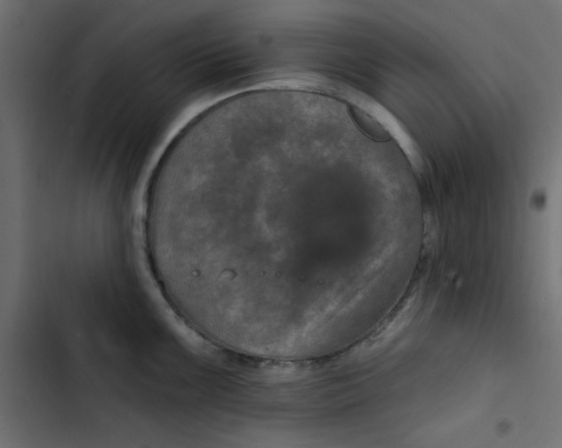 X0000103321099200809261130