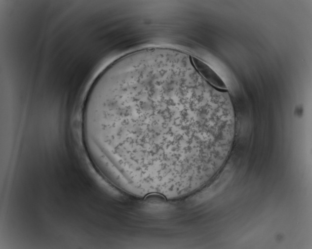 X0000103321100200809261130