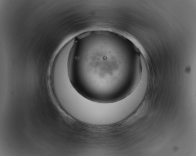 X0000103321101200809261130