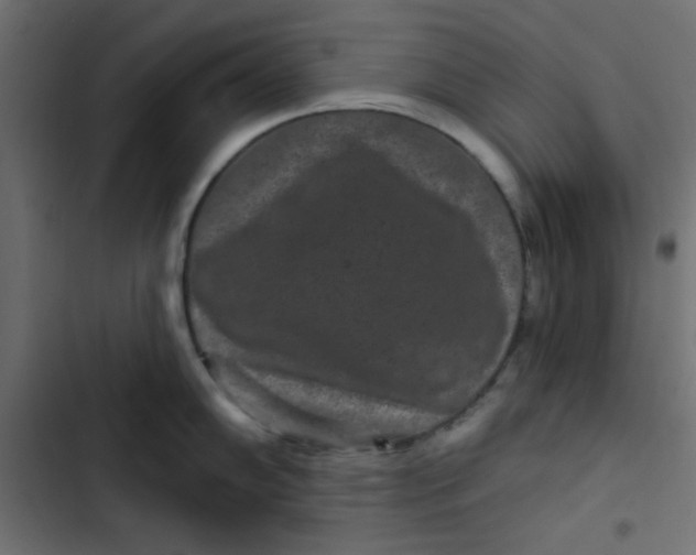 X0000103321102200809261130