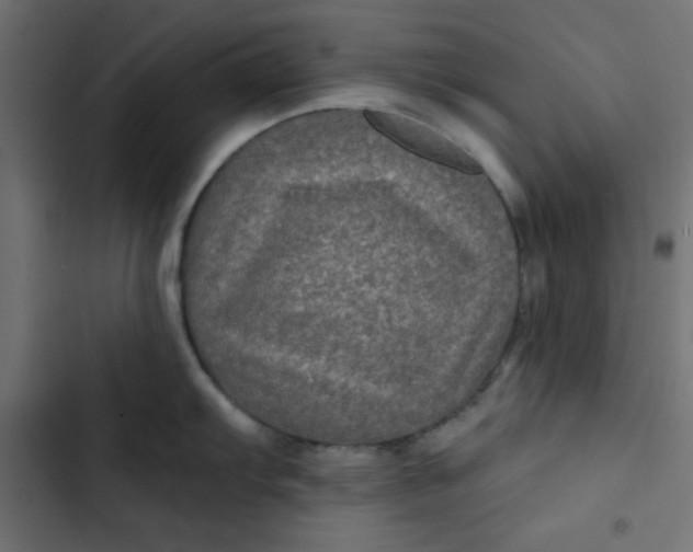 X0000103321103200809261130