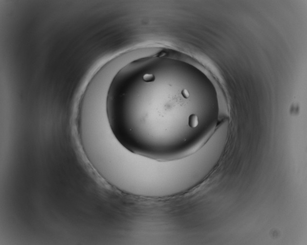 X0000103321104200809261130