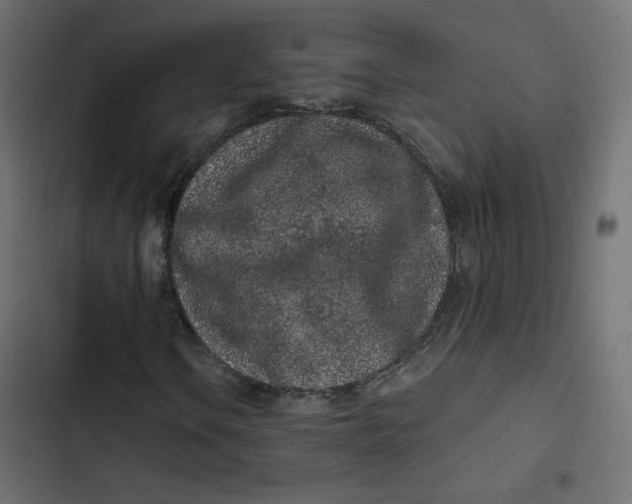 X0000103321106200809261129