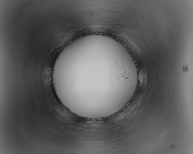 X0000103321107200809261130