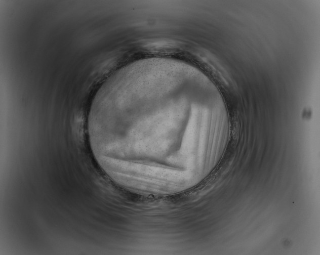 X0000103321108200809261130