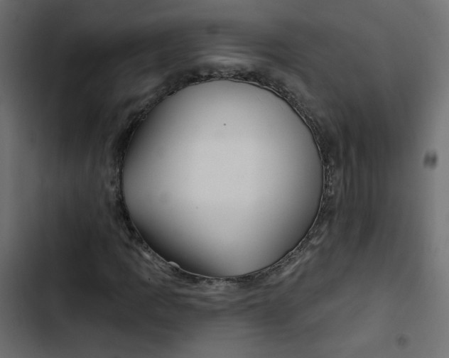 X0000103321109200809261130