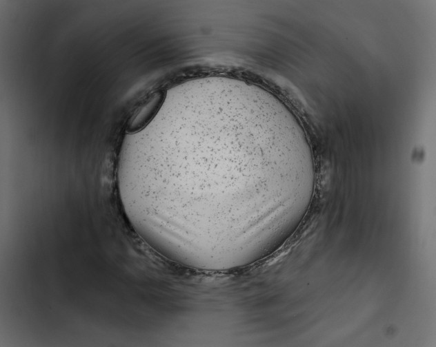 X0000103321110200809261130