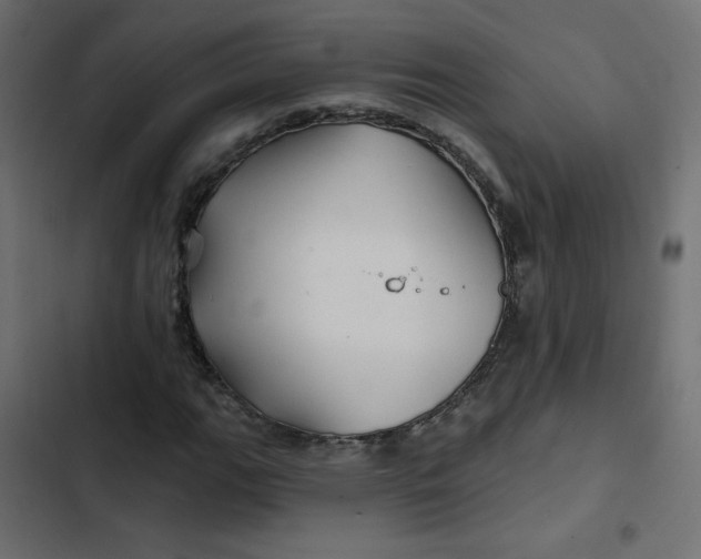 X0000103321111200809261130