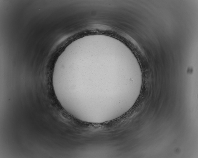 X0000103321112200809261130