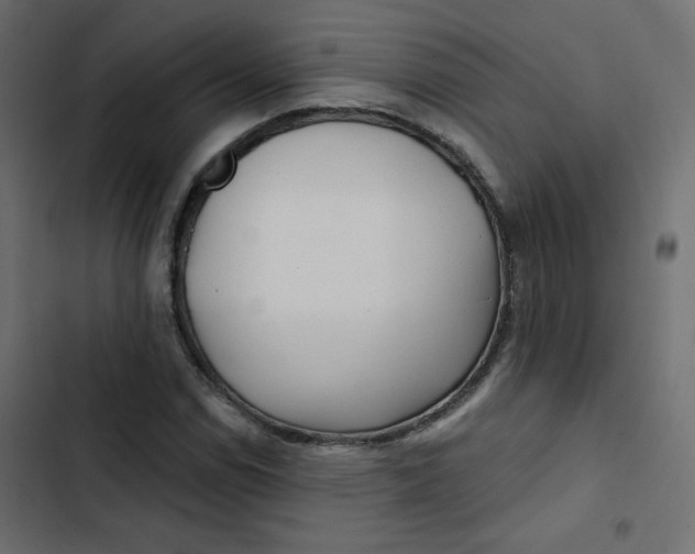 X0000103321114200809261130