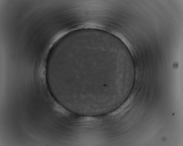 X0000103321115200809261130