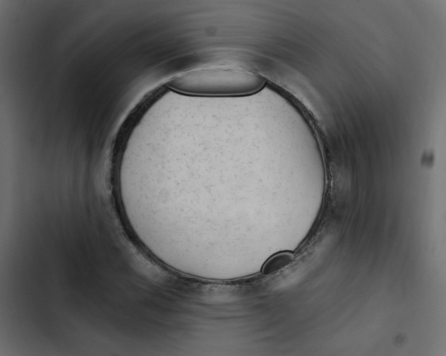 X0000103321116200809261130