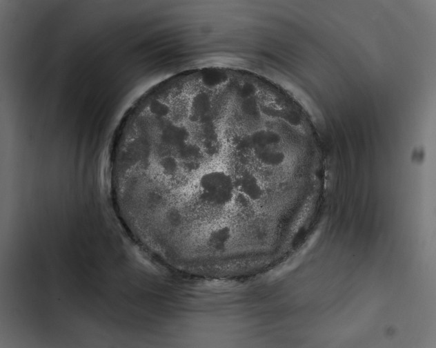 X0000103321117200809261130