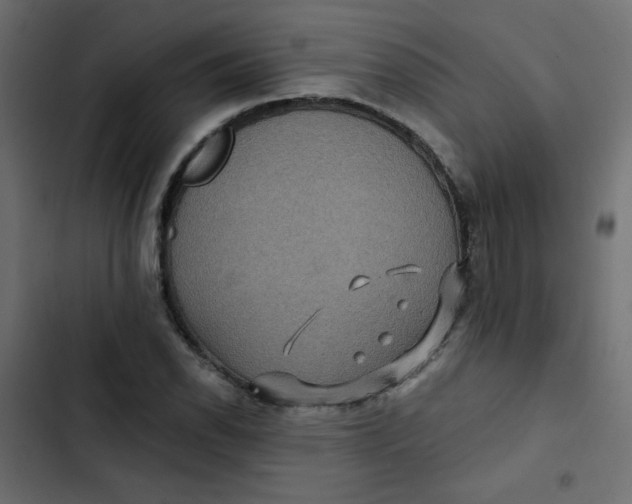 X0000103321118200809261130