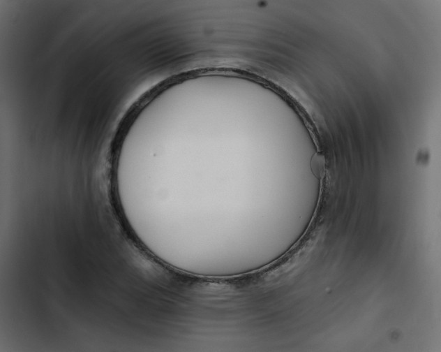 X0000103321119200809261130