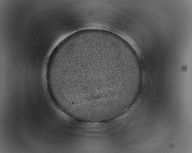 X0000103321120200809261130