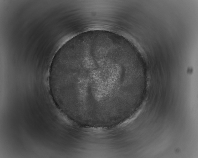 X0000103321121200809261130